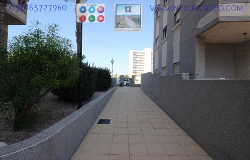 REAL ESTATE, GRUPO NEXUS RENT APARTMENT FOR THE WHOLE YEAR, AVENIDA DEL PUERTO, GUARDAMAR DEL SEGURA in Nexus Grupo