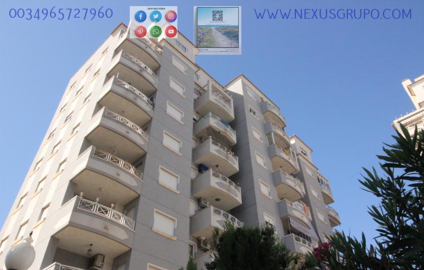 REAL ESTATE, GRUPO NEXUS RENT APARTMENT FOR THE WHOLE YEAR, AVENIDA DEL PUERTO, GUARDAMAR DEL SEGURA in Nexus Grupo