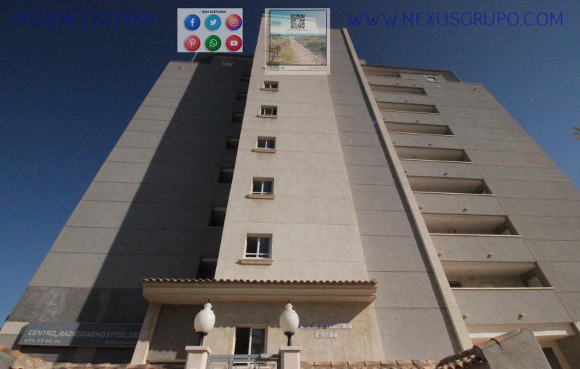 REAL ESTATE, GRUPO NEXUS RENT APARTMENT FOR THE WHOLE YEAR, AVENIDA DEL PUERTO, GUARDAMAR DEL SEGURA in Nexus Grupo