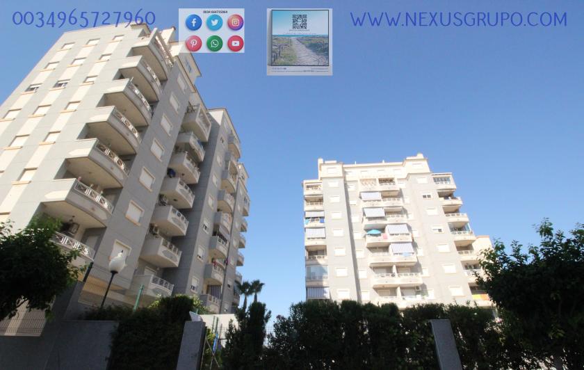 REAL ESTATE, GRUPO NEXUS RENT APARTMENT FOR THE WHOLE YEAR, AVENIDA DEL PUERTO, GUARDAMAR DEL SEGURA in Nexus Grupo