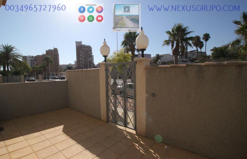 REAL ESTATE, GRUPO NEXUS RENT APARTMENT FOR THE WHOLE YEAR, AVENIDA DEL PUERTO, GUARDAMAR DEL SEGURA in Nexus Grupo