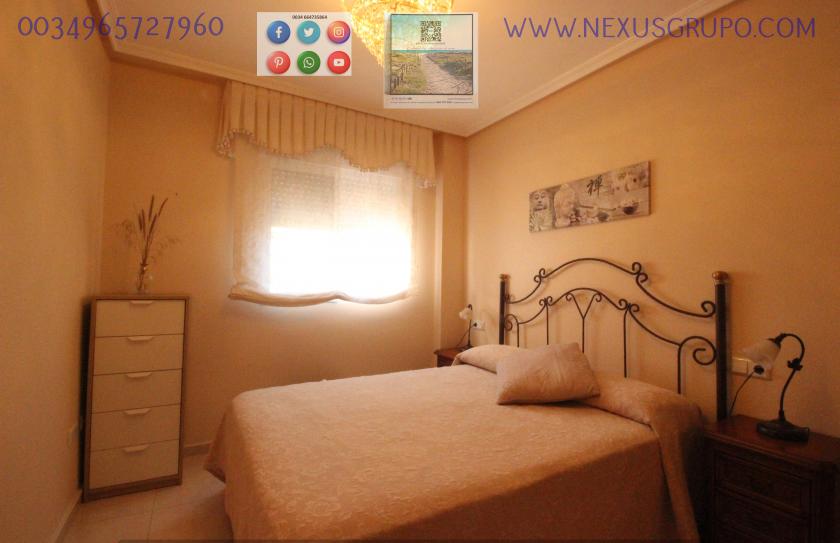 REAL ESTATE, GRUPO NEXUS RENT APARTMENT FOR THE WHOLE YEAR, AVENIDA DEL PUERTO, GUARDAMAR DEL SEGURA in Nexus Grupo