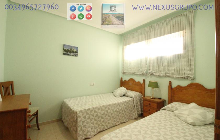 REAL ESTATE, GRUPO NEXUS RENT APARTMENT FOR THE WHOLE YEAR, AVENIDA DEL PUERTO, GUARDAMAR DEL SEGURA in Nexus Grupo