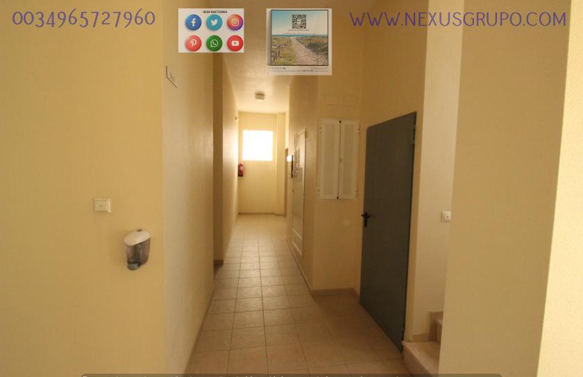 REAL ESTATE, GRUPO NEXUS RENT APARTMENT FOR THE WHOLE YEAR, AVENIDA DEL PUERTO, GUARDAMAR DEL SEGURA in Nexus Grupo