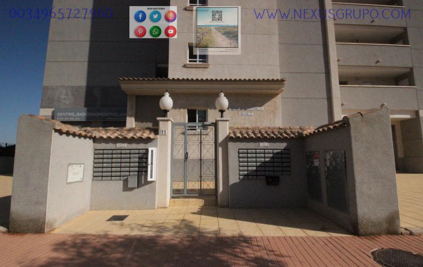 INMOBILIARIA, GRUPO NEXUS ALQUILA PISO PARA TODO EL AÑO, AVENIDA DEL PUERTO, GUARDAMAR DEL SEGURA in Nexus Grupo