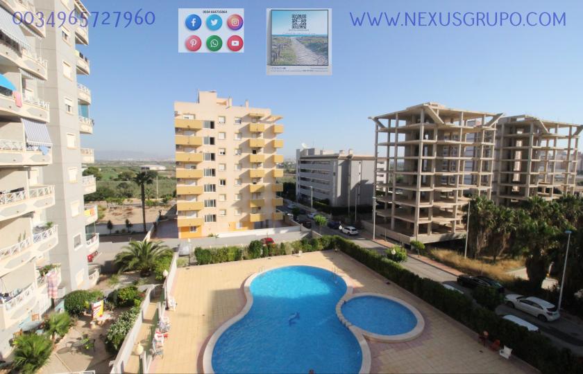 REAL ESTATE, GRUPO NEXUS RENT APARTMENT FOR THE WHOLE YEAR, AVENIDA DEL PUERTO, GUARDAMAR DEL SEGURA in Nexus Grupo