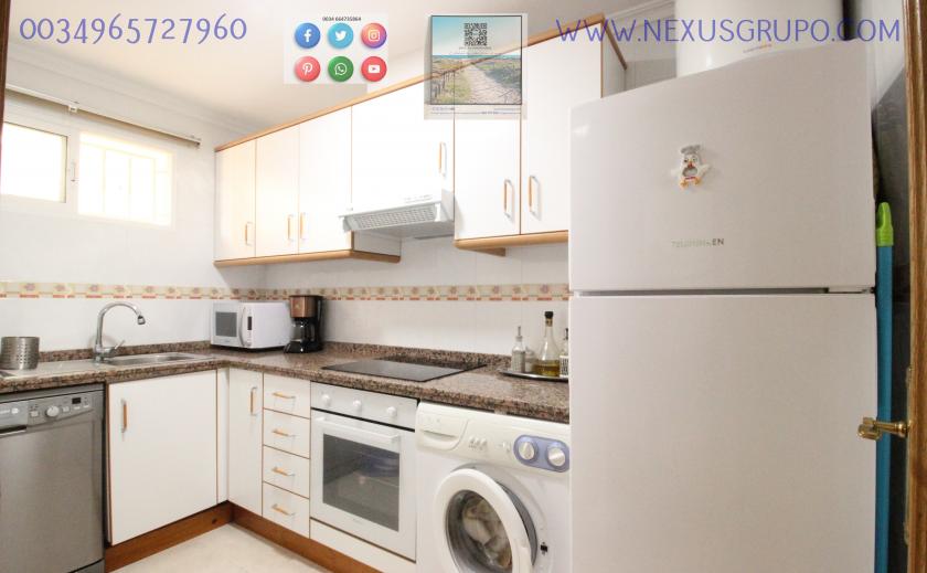 REAL ESTATE, GRUPO NEXUS RENT APARTMENT FOR THE WHOLE YEAR, AVENIDA DEL PUERTO, GUARDAMAR DEL SEGURA in Nexus Grupo