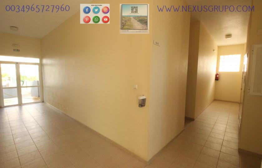 REAL ESTATE, GRUPO NEXUS RENT APARTMENT FOR THE WHOLE YEAR, AVENIDA DEL PUERTO, GUARDAMAR DEL SEGURA in Nexus Grupo