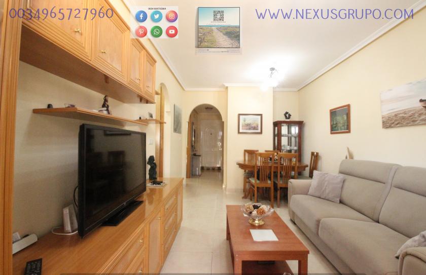 REAL ESTATE, GRUPO NEXUS RENT APARTMENT FOR THE WHOLE YEAR, AVENIDA DEL PUERTO, GUARDAMAR DEL SEGURA in Nexus Grupo