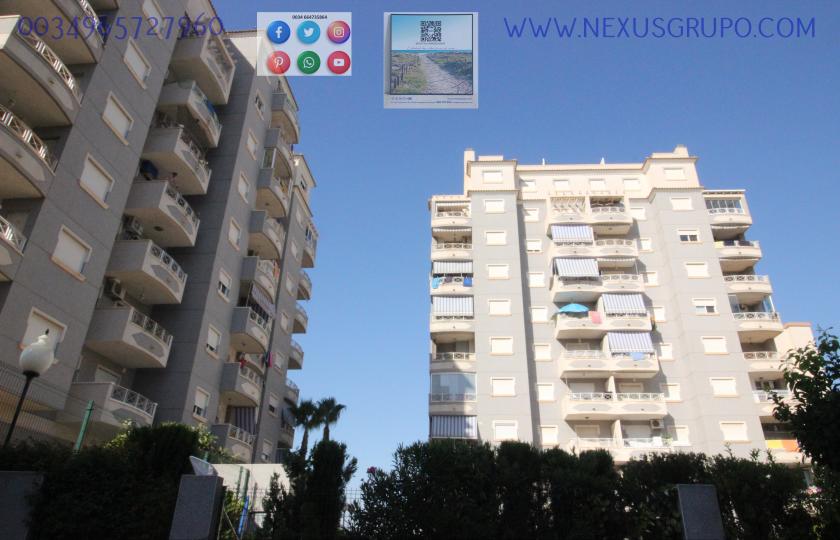 REAL ESTATE, GRUPO NEXUS RENT APARTMENT FOR THE WHOLE YEAR, AVENIDA DEL PUERTO, GUARDAMAR DEL SEGURA in Nexus Grupo