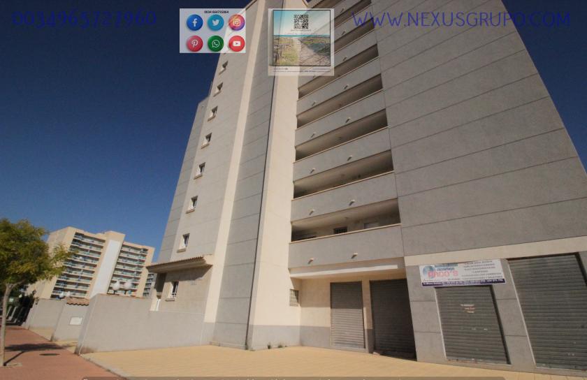 REAL ESTATE, GRUPO NEXUS RENT APARTMENT FOR THE WHOLE YEAR, AVENIDA DEL PUERTO, GUARDAMAR DEL SEGURA in Nexus Grupo