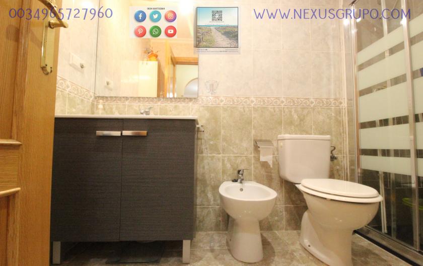 REAL ESTATE, GRUPO NEXUS RENT APARTMENT FOR THE WHOLE YEAR, AVENIDA DEL PUERTO, GUARDAMAR DEL SEGURA in Nexus Grupo