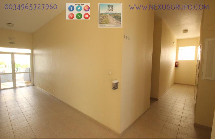 REAL ESTATE, GRUPO NEXUS RENT APARTMENT FOR THE WHOLE YEAR, AVENIDA DEL PUERTO, GUARDAMAR DEL SEGURA in Nexus Grupo