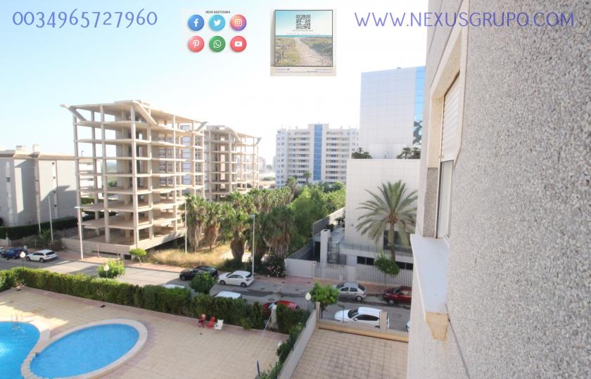 REAL ESTATE, GRUPO NEXUS RENT APARTMENT FOR THE WHOLE YEAR, AVENIDA DEL PUERTO, GUARDAMAR DEL SEGURA in Nexus Grupo