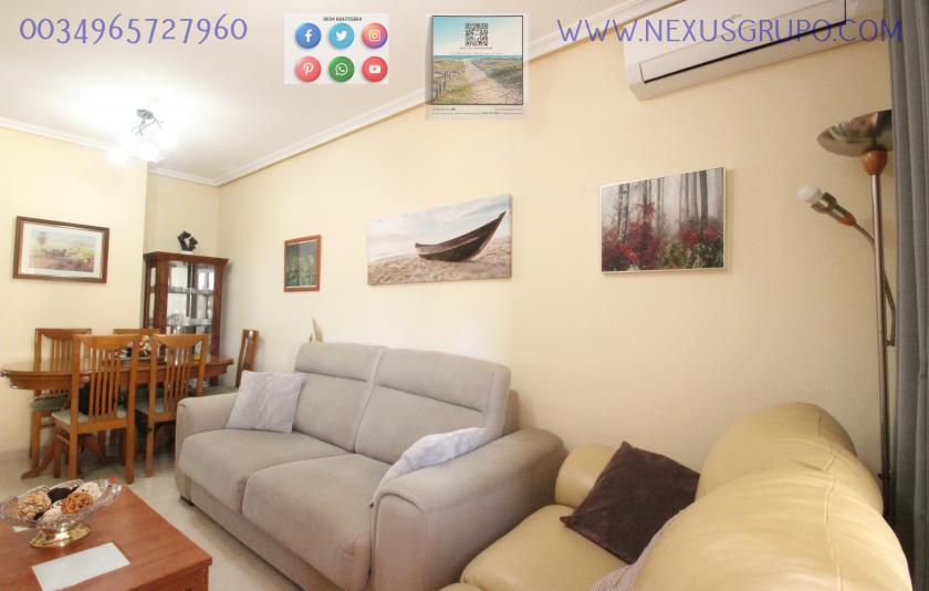 REAL ESTATE, GRUPO NEXUS RENT APARTMENT FOR THE WHOLE YEAR, AVENIDA DEL PUERTO, GUARDAMAR DEL SEGURA in Nexus Grupo