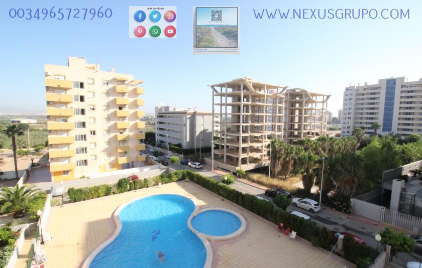 REAL ESTATE, GRUPO NEXUS RENT APARTMENT FOR THE WHOLE YEAR, AVENIDA DEL PUERTO, GUARDAMAR DEL SEGURA in Nexus Grupo