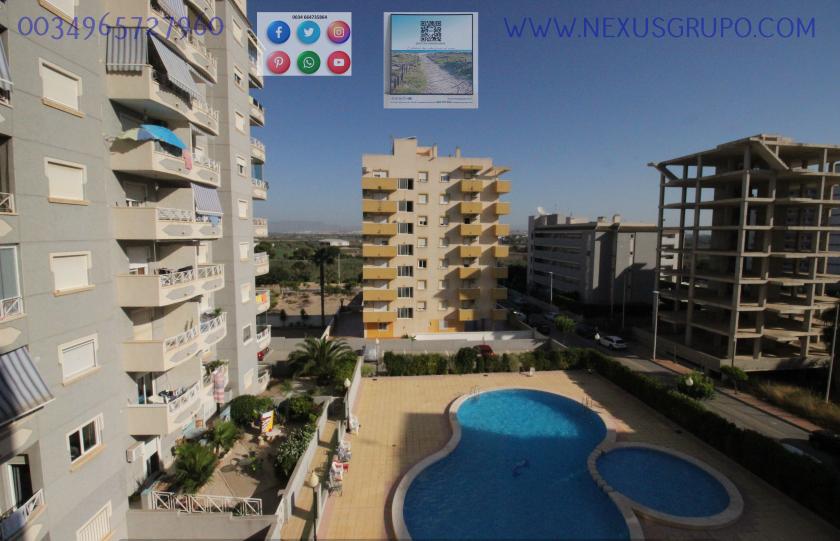 REAL ESTATE, GRUPO NEXUS RENT APARTMENT FOR THE WHOLE YEAR, AVENIDA DEL PUERTO, GUARDAMAR DEL SEGURA in Nexus Grupo