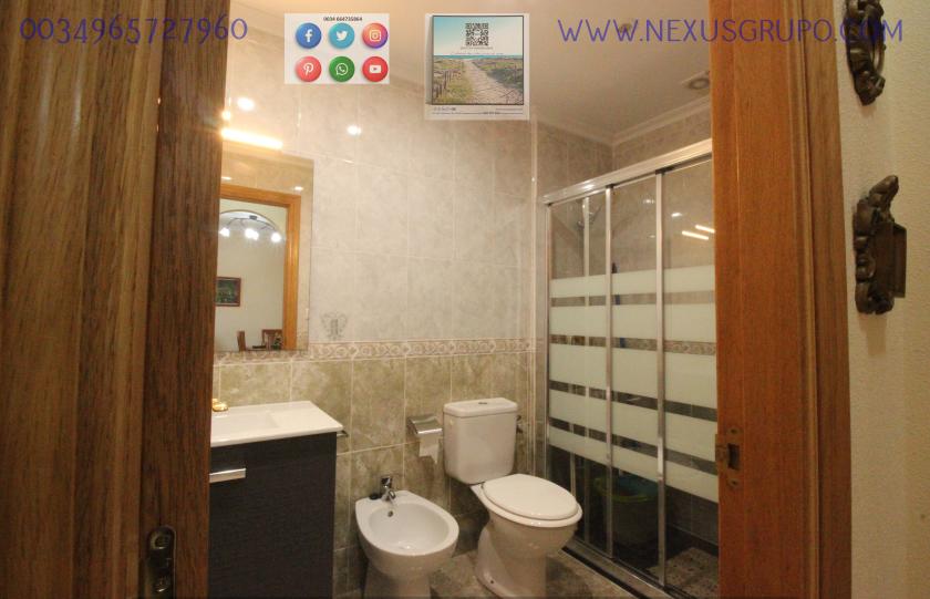 REAL ESTATE, GRUPO NEXUS RENT APARTMENT FOR THE WHOLE YEAR, AVENIDA DEL PUERTO, GUARDAMAR DEL SEGURA in Nexus Grupo