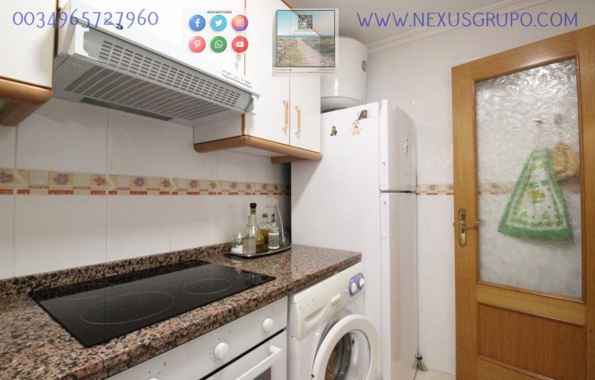 REAL ESTATE, GRUPO NEXUS RENT APARTMENT FOR THE WHOLE YEAR, AVENIDA DEL PUERTO, GUARDAMAR DEL SEGURA in Nexus Grupo