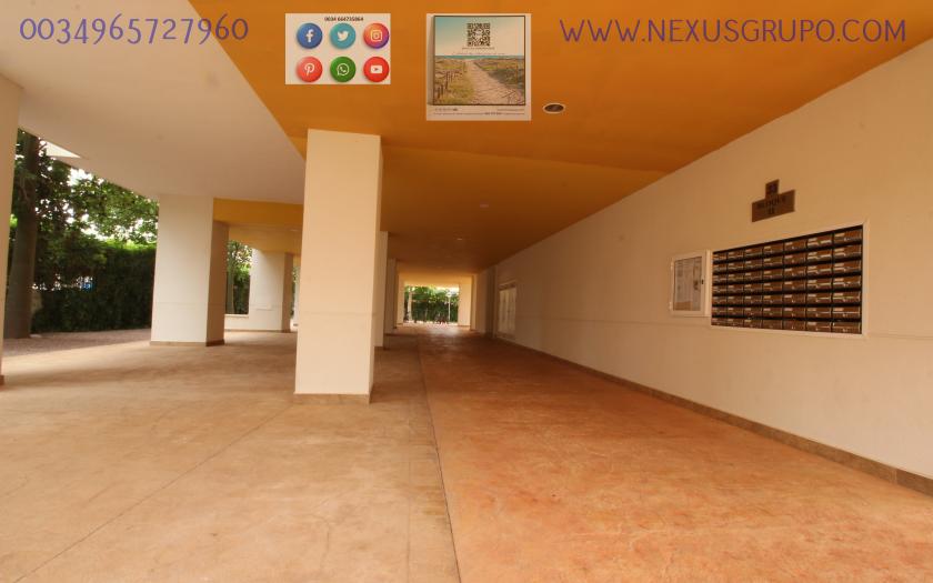 REAL ESTATE, GRUPO NEXUS, RENT APARTMENT FOR THE WHOLE YEAR IN NATURAMAR URBANIZATION OF GUARDAMAR DEL SEGURA in Nexus Grupo