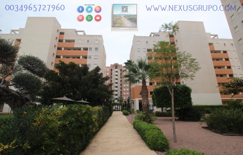 REAL ESTATE, GRUPO NEXUS, RENT APARTMENT FOR THE WHOLE YEAR IN NATURAMAR URBANIZATION OF GUARDAMAR DEL SEGURA in Nexus Grupo