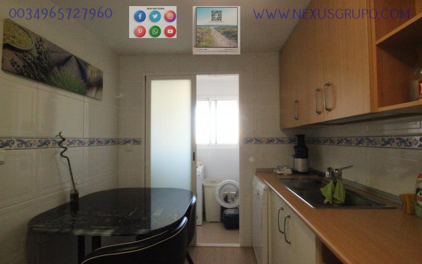 REAL ESTATE, GRUPO NEXUS, RENT APARTMENT FOR THE WHOLE YEAR IN NATURAMAR URBANIZATION OF GUARDAMAR DEL SEGURA in Nexus Grupo