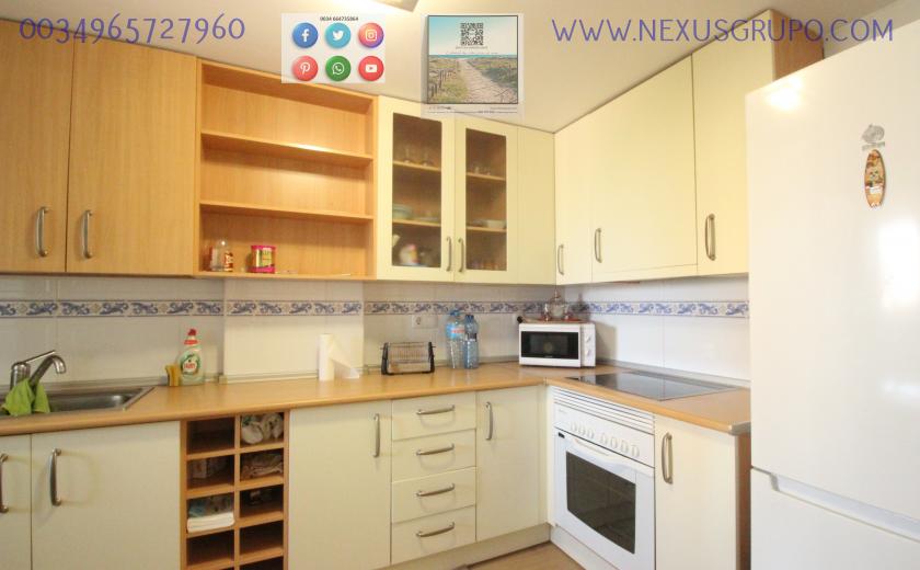 REAL ESTATE, GRUPO NEXUS, RENT APARTMENT FOR THE WHOLE YEAR IN NATURAMAR URBANIZATION OF GUARDAMAR DEL SEGURA in Nexus Grupo