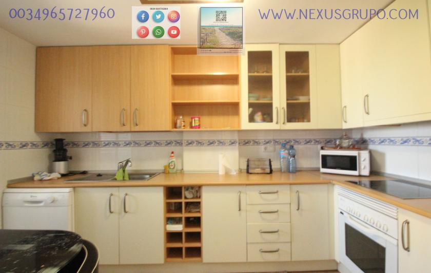 REAL ESTATE, GRUPO NEXUS, RENT APARTMENT FOR THE WHOLE YEAR IN NATURAMAR URBANIZATION OF GUARDAMAR DEL SEGURA in Nexus Grupo