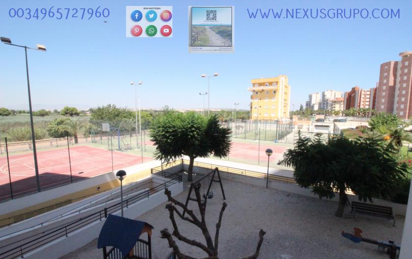 REAL ESTATE, GRUPO NEXUS, RENT APARTMENT FOR THE WHOLE YEAR IN NATURAMAR URBANIZATION OF GUARDAMAR DEL SEGURA in Nexus Grupo