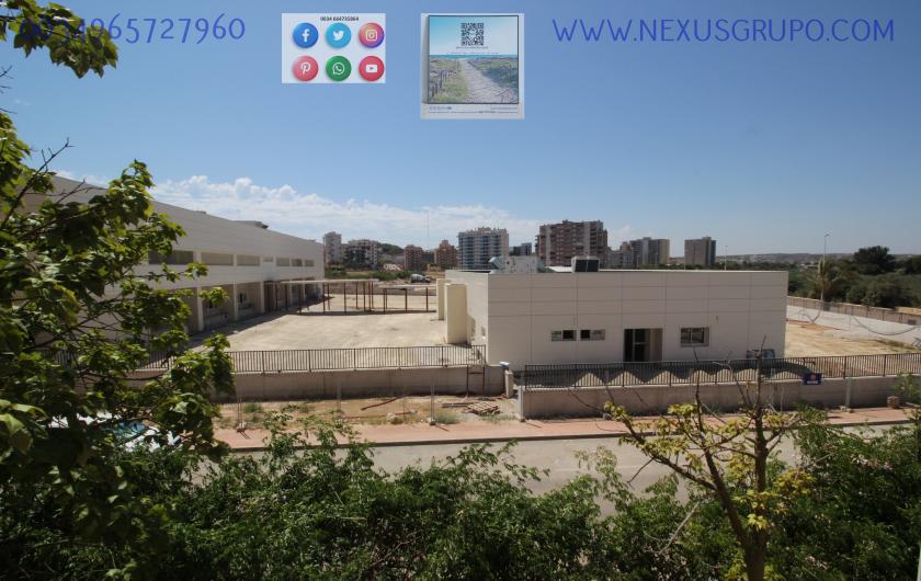 REAL ESTATE, GRUPO NEXUS, RENT APARTMENT FOR THE WHOLE YEAR IN NATURAMAR URBANIZATION OF GUARDAMAR DEL SEGURA in Nexus Grupo