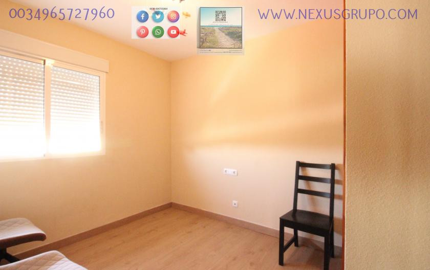 REAL ESTATE, GRUPO NEXUS, RENT APARTMENT FOR THE WHOLE YEAR IN NATURAMAR URBANIZATION OF GUARDAMAR DEL SEGURA in Nexus Grupo