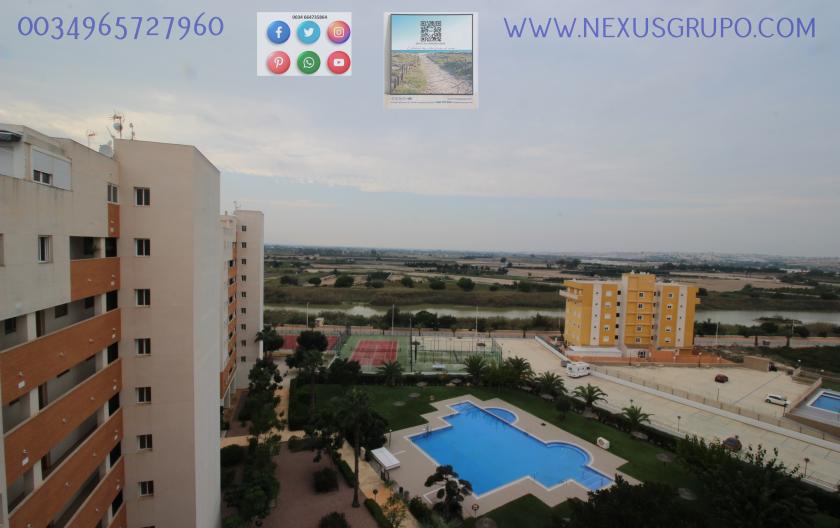 REAL ESTATE, GRUPO NEXUS, RENT APARTMENT FOR THE WHOLE YEAR IN NATURAMAR URBANIZATION OF GUARDAMAR DEL SEGURA in Nexus Grupo