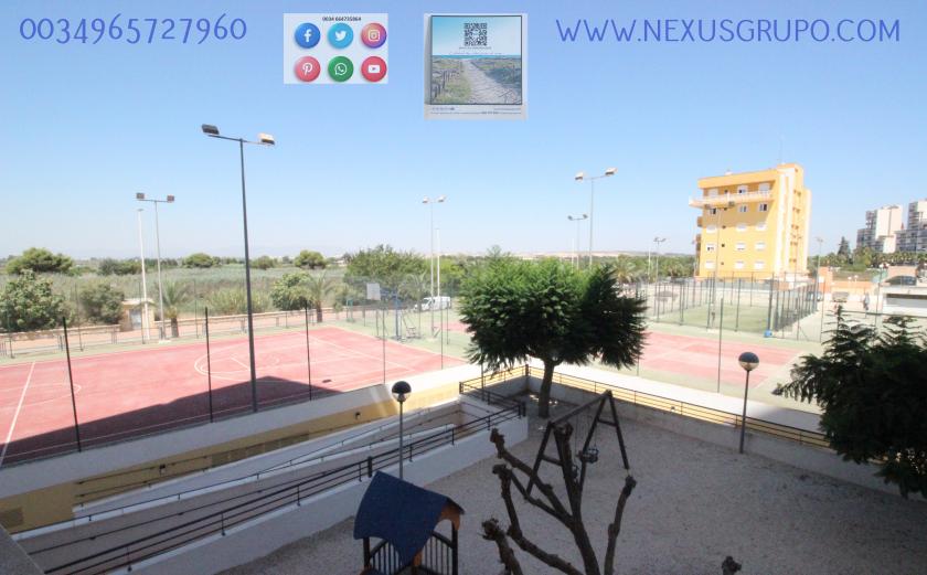 REAL ESTATE, GRUPO NEXUS, RENT APARTMENT FOR THE WHOLE YEAR IN NATURAMAR URBANIZATION OF GUARDAMAR DEL SEGURA in Nexus Grupo