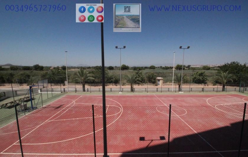 REAL ESTATE, GRUPO NEXUS, RENT APARTMENT FOR THE WHOLE YEAR IN NATURAMAR URBANIZATION OF GUARDAMAR DEL SEGURA in Nexus Grupo