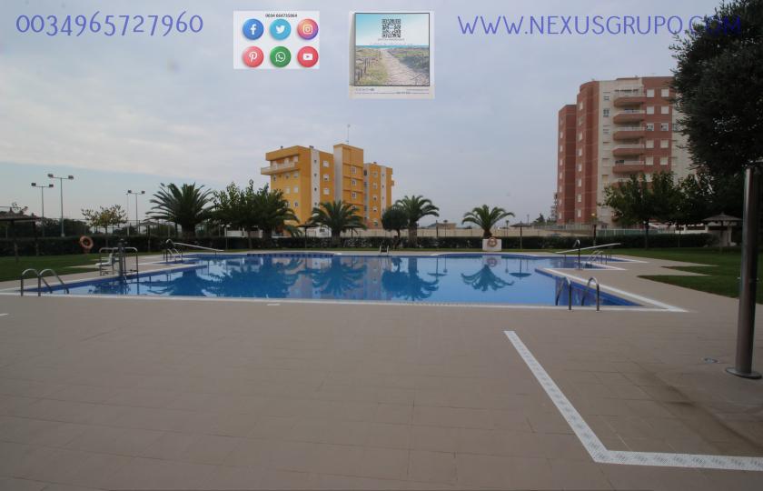 REAL ESTATE, GRUPO NEXUS, RENT APARTMENT FOR THE WHOLE YEAR IN NATURAMAR URBANIZATION OF GUARDAMAR DEL SEGURA in Nexus Grupo