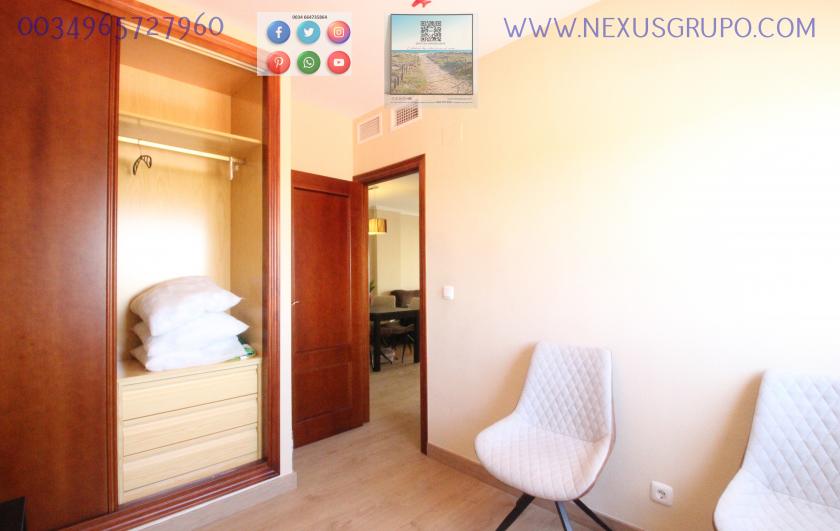 REAL ESTATE, GRUPO NEXUS, RENT APARTMENT FOR THE WHOLE YEAR IN NATURAMAR URBANIZATION OF GUARDAMAR DEL SEGURA in Nexus Grupo