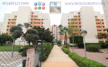 REAL ESTATE, GRUPO NEXUS, RENT APARTMENT FOR THE WHOLE YEAR IN NATURAMAR URBANIZATION OF GUARDAMAR DEL SEGURA in Nexus Grupo