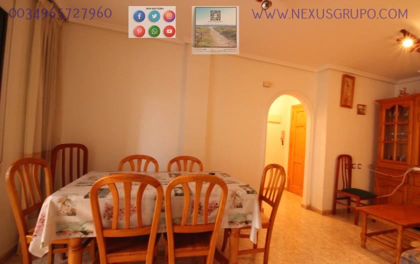 REAL ESTATE, GRUPO NEXUS, RENT APARTMENT FOR THE WHOLE YEAR IN CALLE CARTAGENA in Nexus Grupo