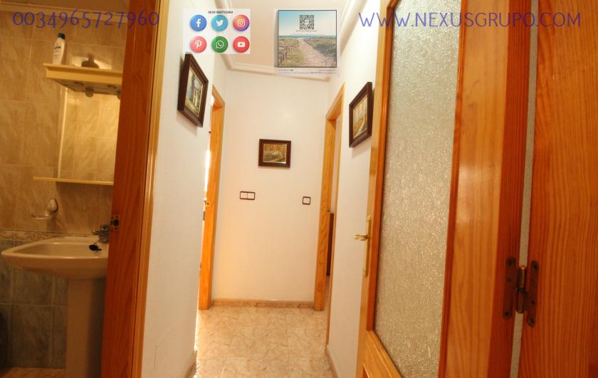 REAL ESTATE, GRUPO NEXUS, RENT APARTMENT FOR THE WHOLE YEAR IN CALLE CARTAGENA in Nexus Grupo