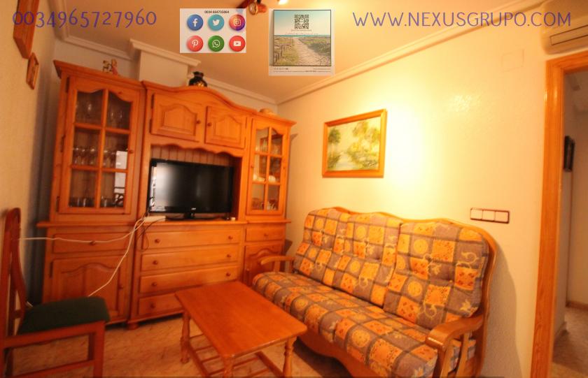 REAL ESTATE, GRUPO NEXUS, RENT APARTMENT FOR THE WHOLE YEAR IN CALLE CARTAGENA in Nexus Grupo