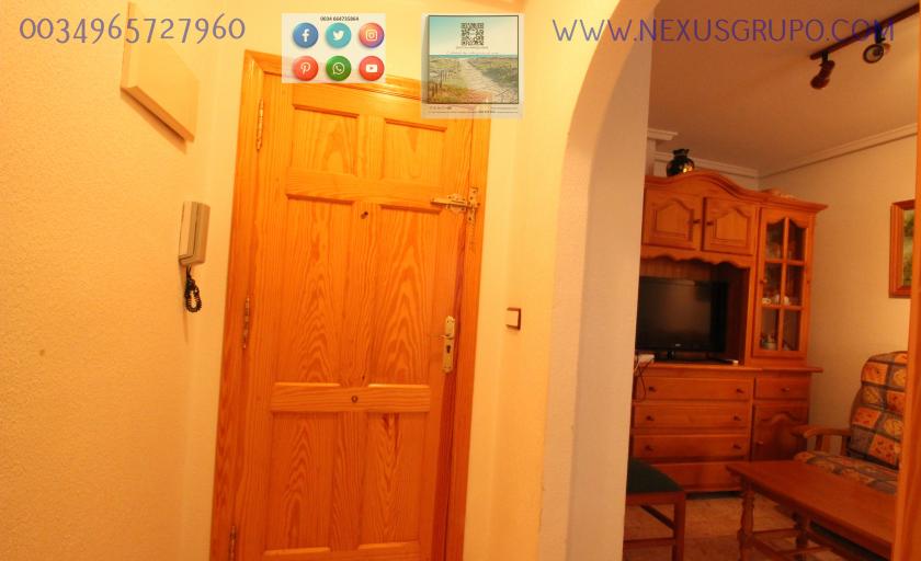 REAL ESTATE, GRUPO NEXUS, RENT APARTMENT FOR THE WHOLE YEAR IN CALLE CARTAGENA in Nexus Grupo