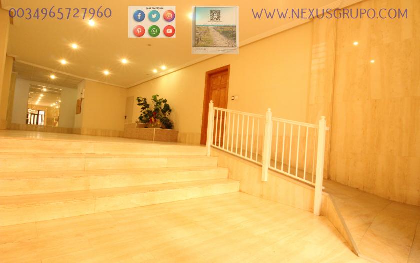 REAL ESTATE, GRUPO NEXUS, RENT APARTMENT FOR THE WHOLE YEAR IN CALLE CARTAGENA in Nexus Grupo