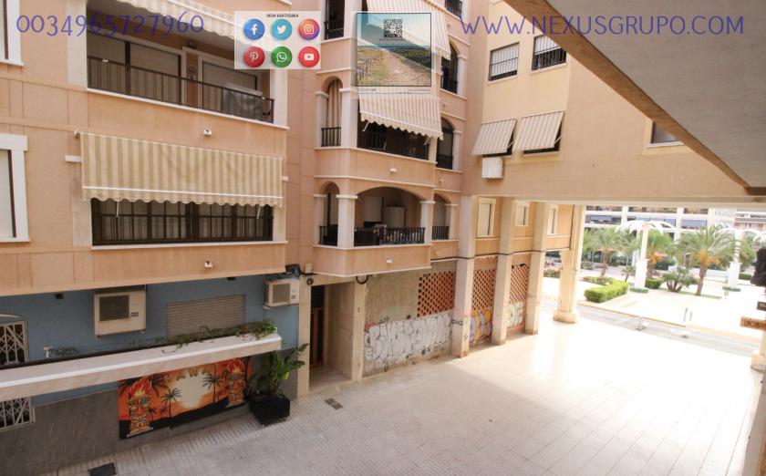 REAL ESTATE, GRUPO NEXUS, RENT APARTMENT FOR THE WHOLE YEAR IN CALLE CARTAGENA in Nexus Grupo