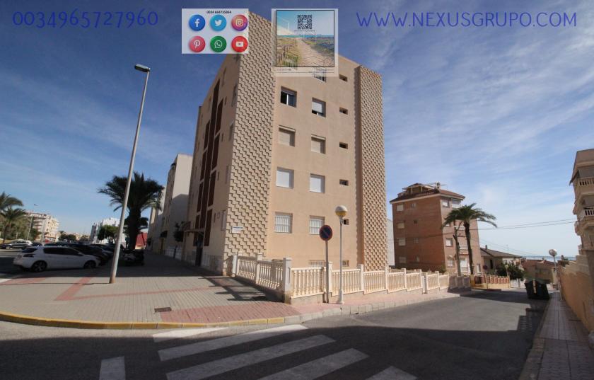 REAL ESTATE, GRUPO NEXUS, RENT APARTMENT FOR THE WHOLE YEAR, IN CERVANTES AVENUE, GUARDAMAR DEL SEGURA. in Nexus Grupo