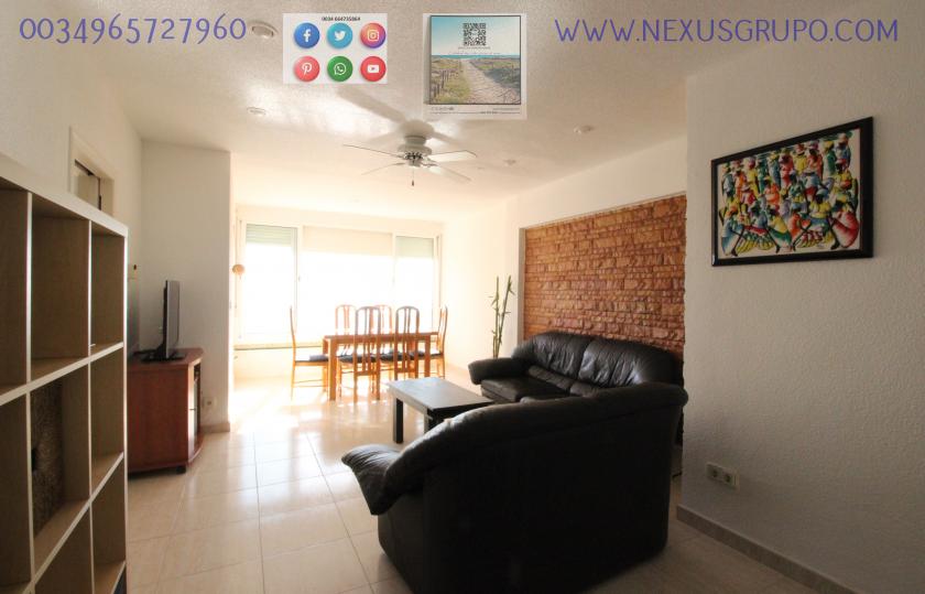 REAL ESTATE, GRUPO NEXUS, RENT APARTMENT FOR THE WHOLE YEAR, IN CERVANTES AVENUE, GUARDAMAR DEL SEGURA. in Nexus Grupo