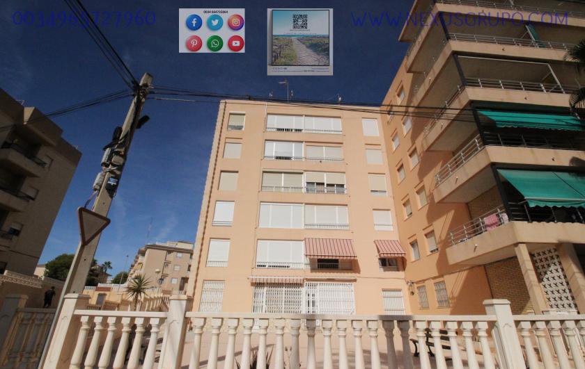 REAL ESTATE, GRUPO NEXUS, RENT APARTMENT FOR THE WHOLE YEAR, IN CERVANTES AVENUE, GUARDAMAR DEL SEGURA. in Nexus Grupo