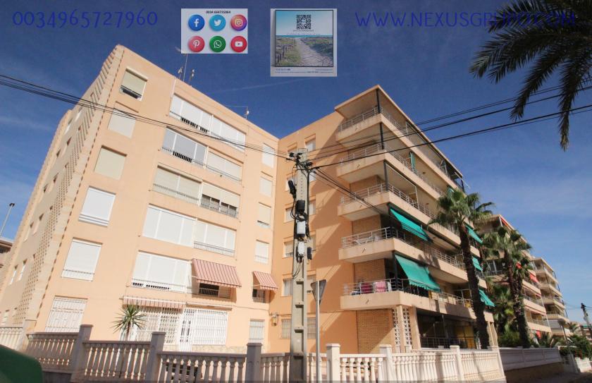 REAL ESTATE, GRUPO NEXUS, RENT APARTMENT FOR THE WHOLE YEAR, IN CERVANTES AVENUE, GUARDAMAR DEL SEGURA. in Nexus Grupo