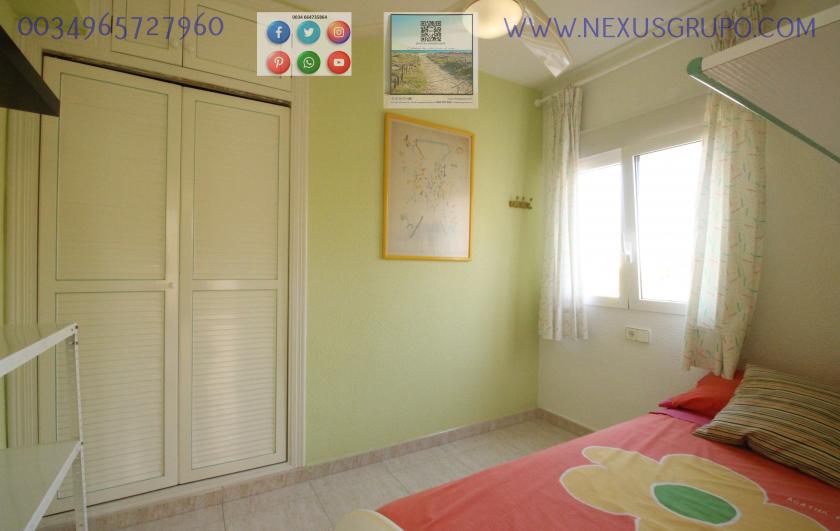 REAL ESTATE, GRUPO NEXUS, RENT APARTMENT FOR THE WHOLE YEAR, IN CERVANTES AVENUE, GUARDAMAR DEL SEGURA. in Nexus Grupo