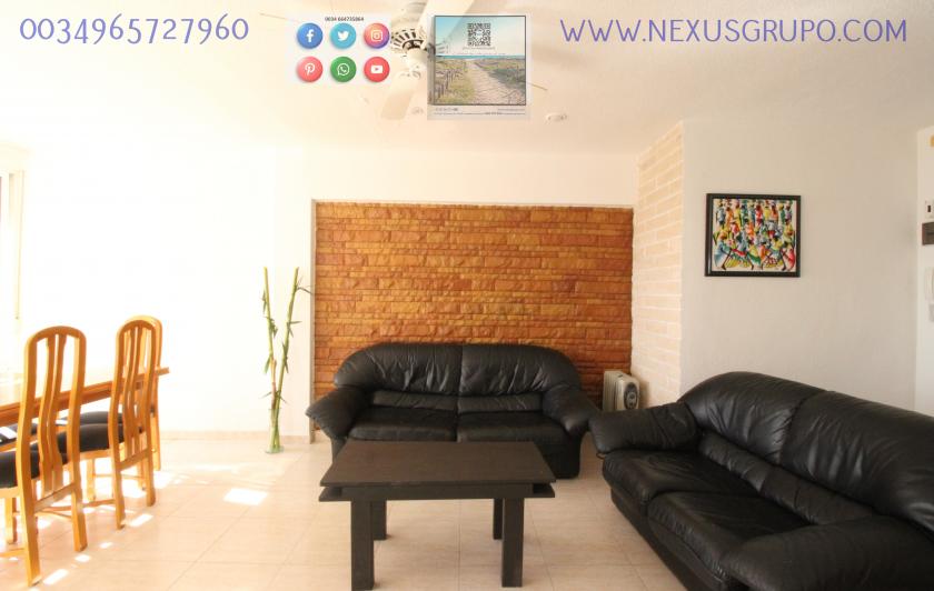 REAL ESTATE, GRUPO NEXUS, RENT APARTMENT FOR THE WHOLE YEAR, IN CERVANTES AVENUE, GUARDAMAR DEL SEGURA. in Nexus Grupo