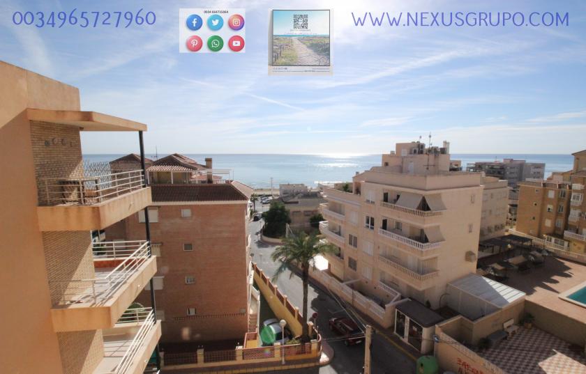 REAL ESTATE, GRUPO NEXUS, RENT APARTMENT FOR THE WHOLE YEAR, IN CERVANTES AVENUE, GUARDAMAR DEL SEGURA. in Nexus Grupo